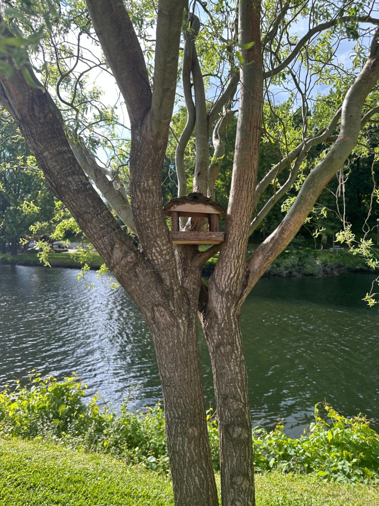 Nature E Spa Al - Termas Saude E Beleza, Totalmente Renovado - Piscinas Municipais Em Frente - Epoca Julho A Setembro São Pedro do Sul Exterior photo